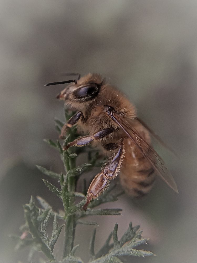Небодрое утро