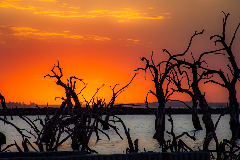 Photograph by Maria julieta ZURZOLO