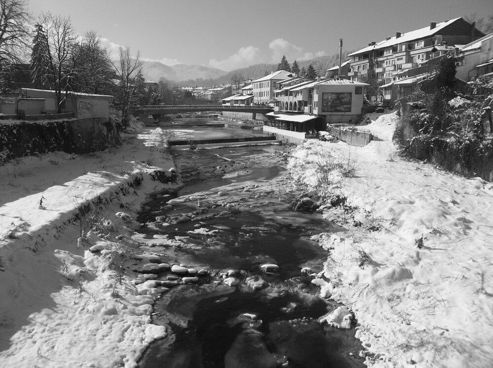 Photograph by Георги Колев