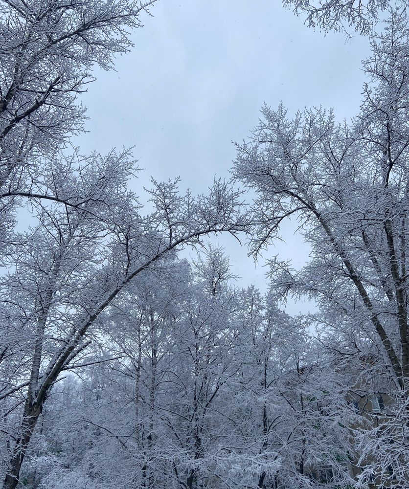 Photograph by Ирина Пулях
