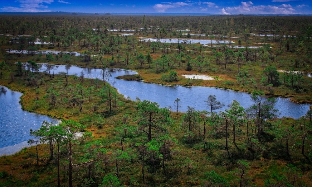 Фотография автора Vladimir Chu