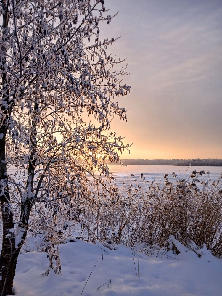 Photograph by Елена Терскова