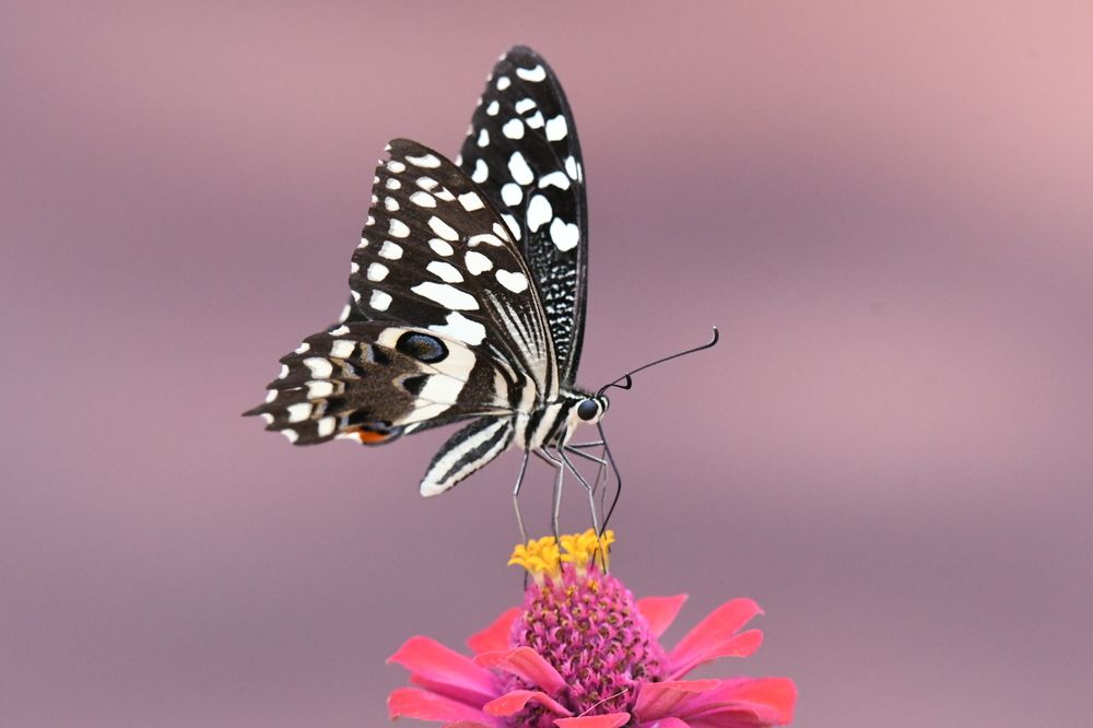 Photograph by Michelle Storm