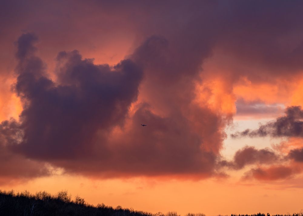 Photograph by Константин Яковлев