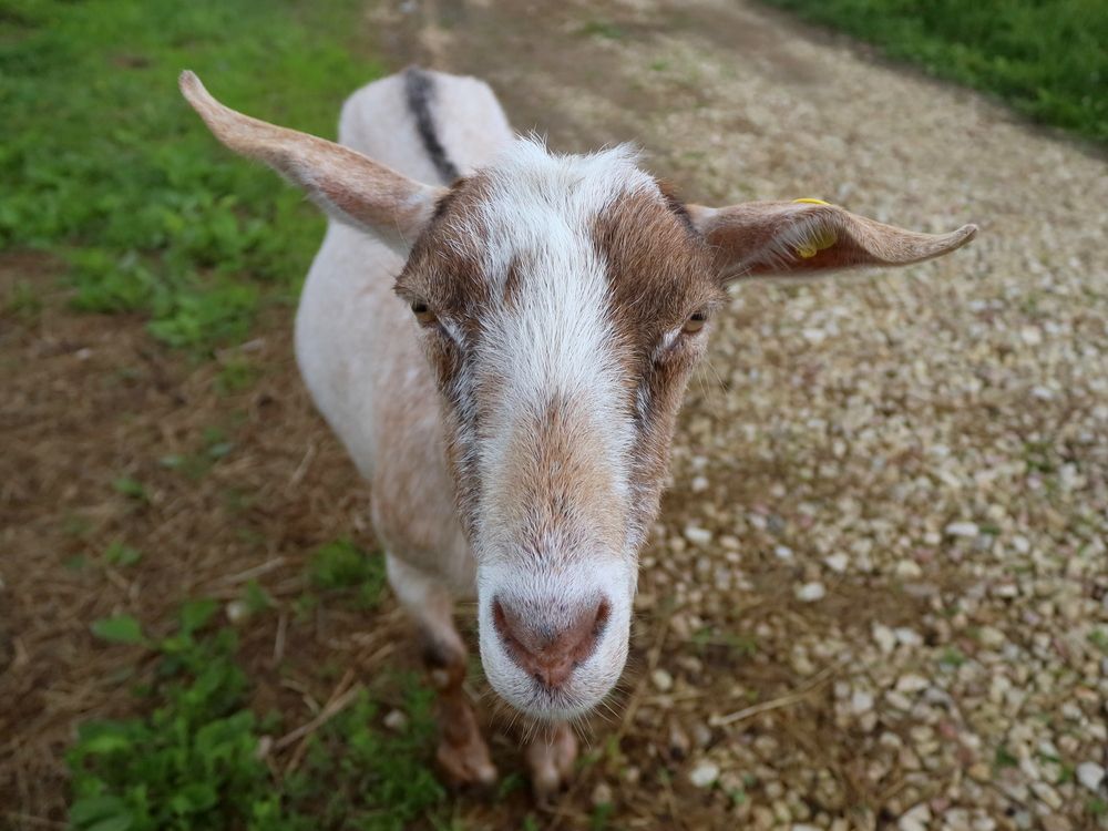 Photograph by Марианна Браун