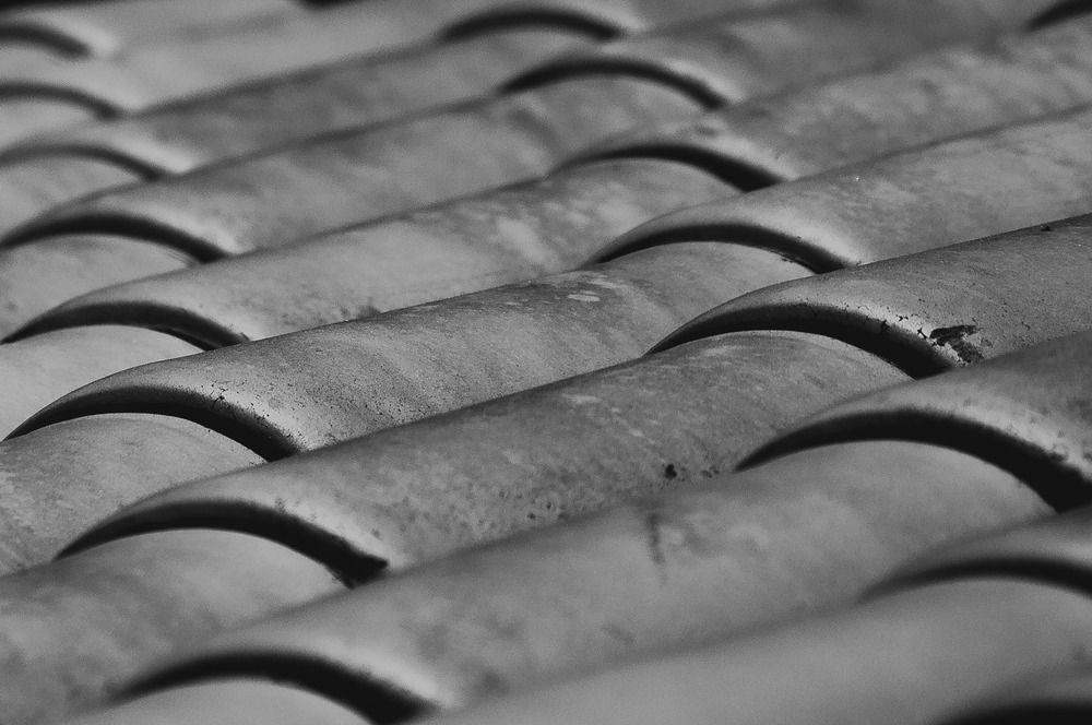 Photograph by Fabricio Bento