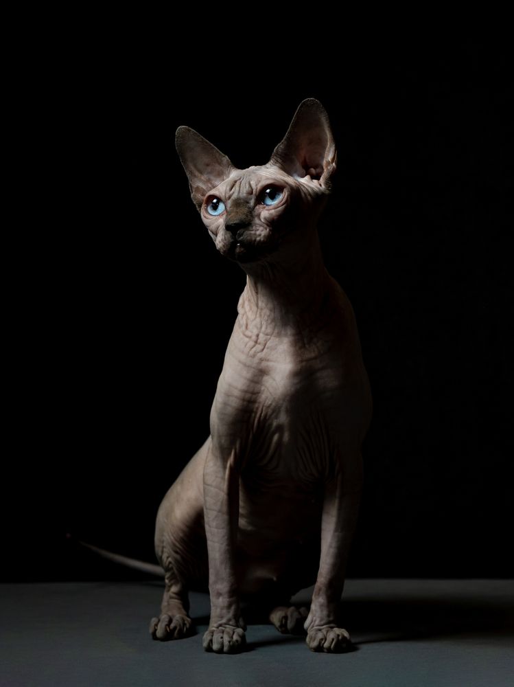 Photograph by Ирина Левакова