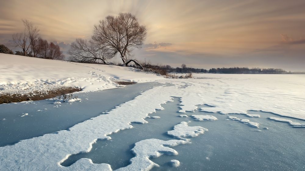 Photograph by Людмила Железнова