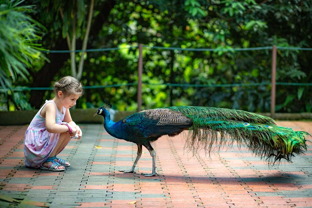 Photograph by Jurgita Kerulienė