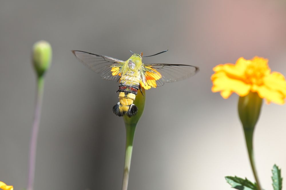 Photograph by Michelle Storm