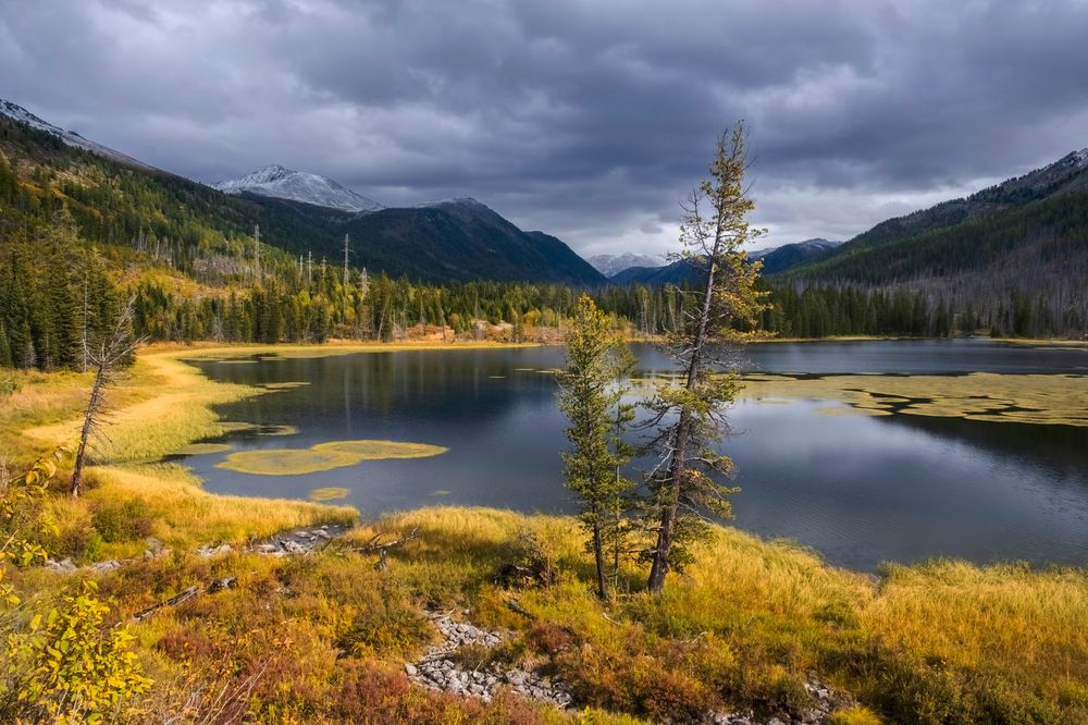 Photograph by Светлана Краюшкина