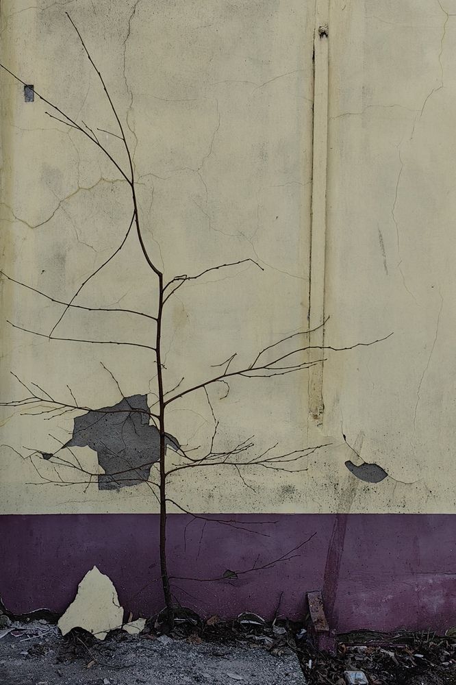 Photograph by Елена Алексеева