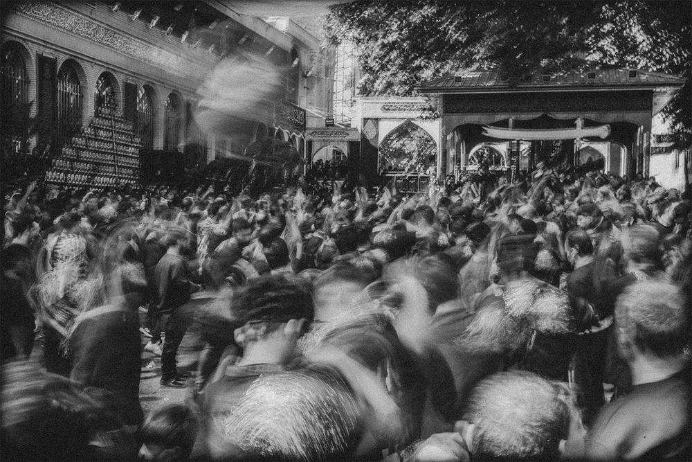 Photograph by saleh bayat