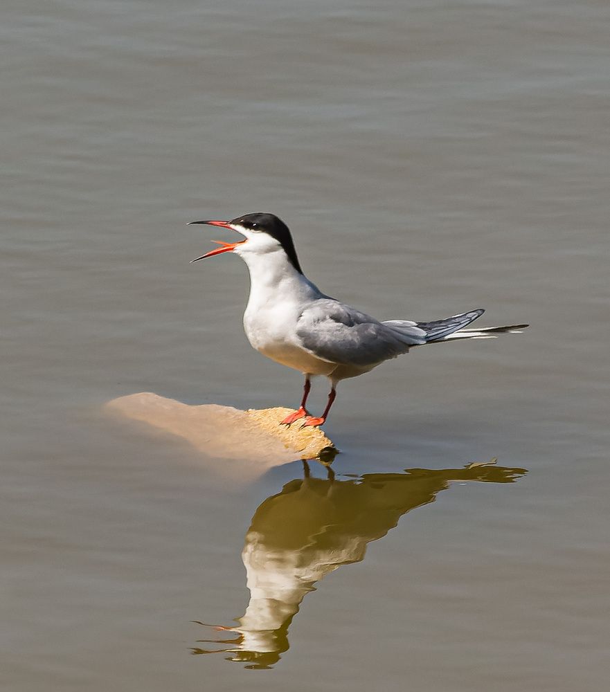 Photograph by Victor Shaposhnikov