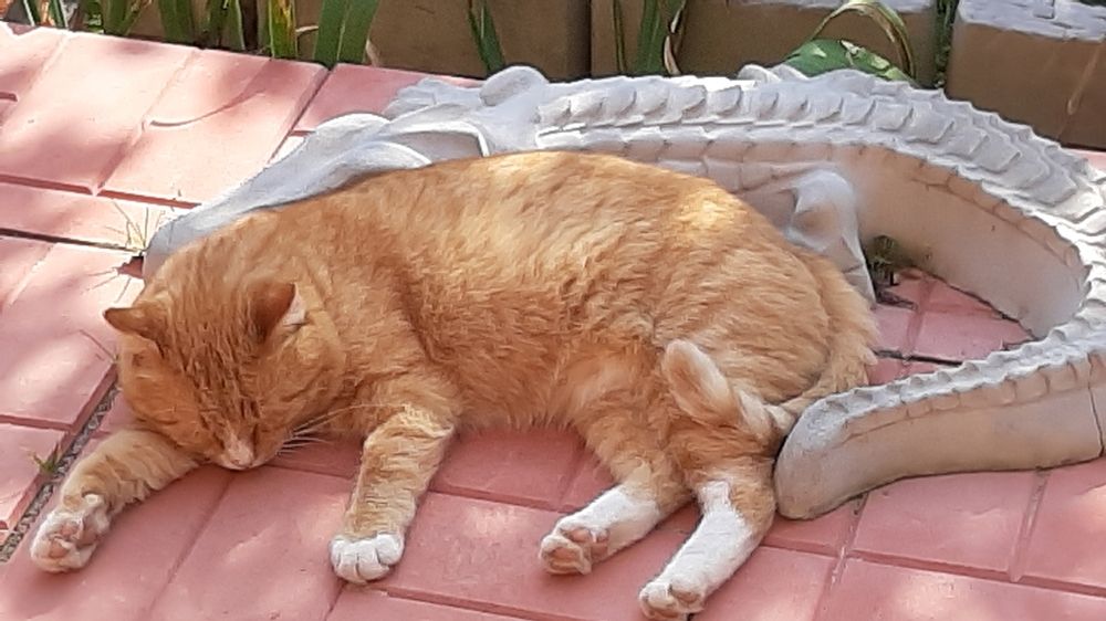 Photograph by Лилия Рыжанкова