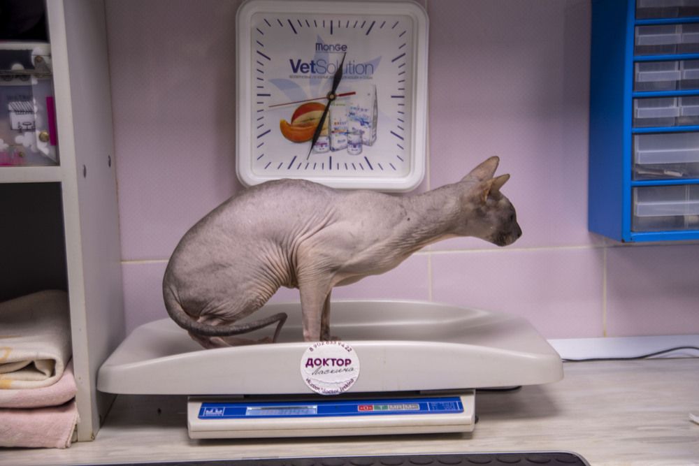 Фотография автора Злобин Сергей