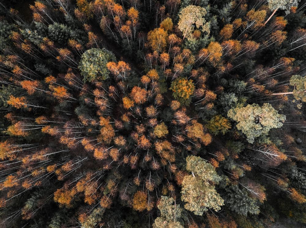 Photograph by Linda Persson