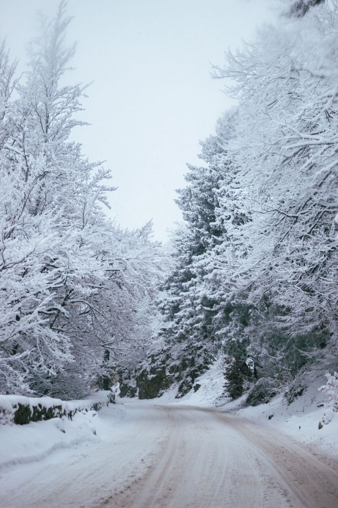 Photograph by Артём Гуцалюк