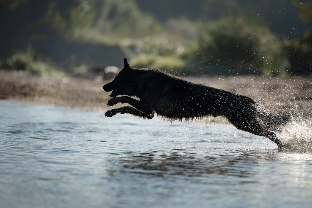 Photograph by Елена Якусева