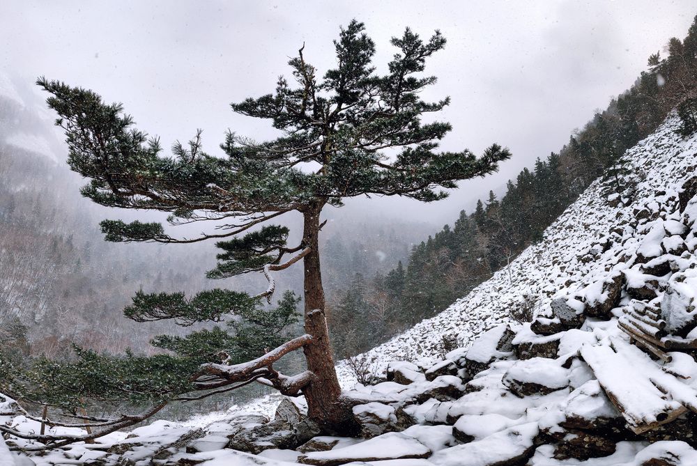 Photograph by Олег Мороз