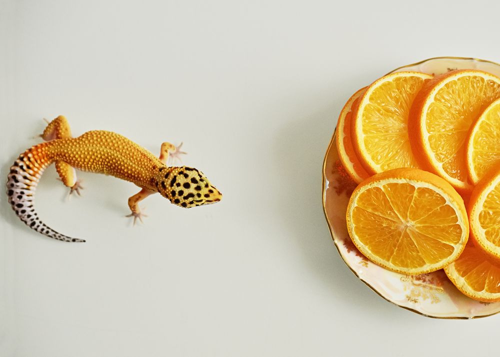 Photograph by Расим Римиев