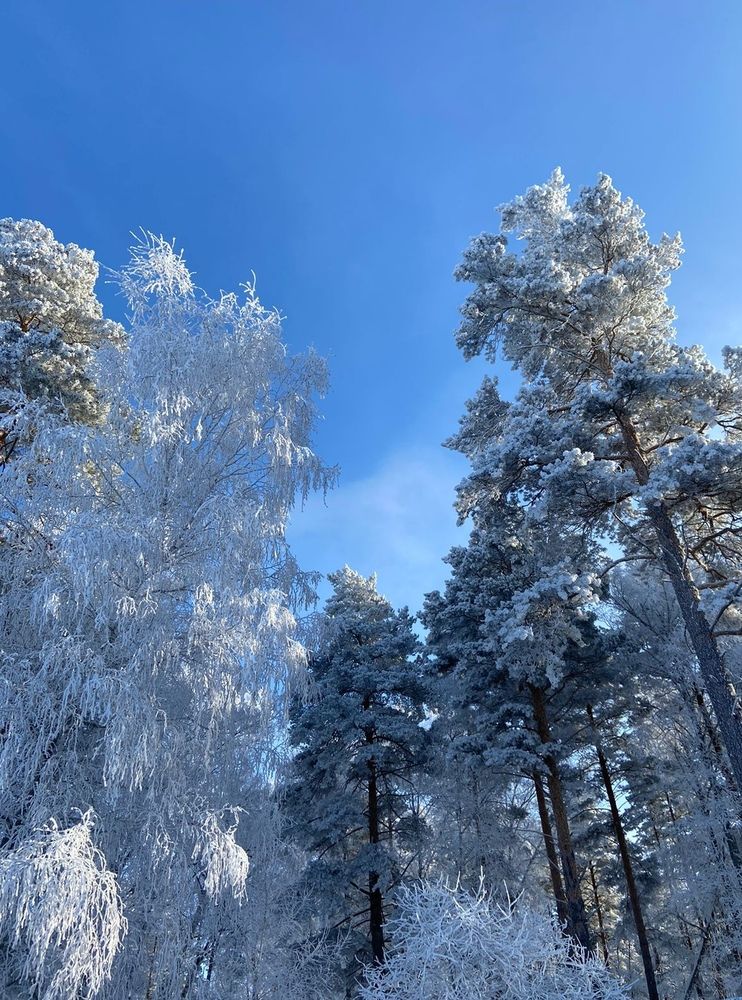 Photograph by Ирина Пулях