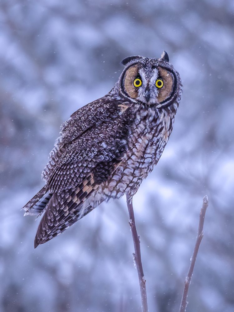 Photograph by Zhenhuan Zhou