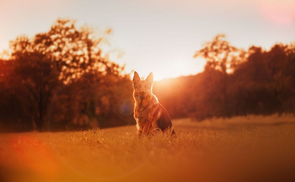 Photograph by Marina Katic