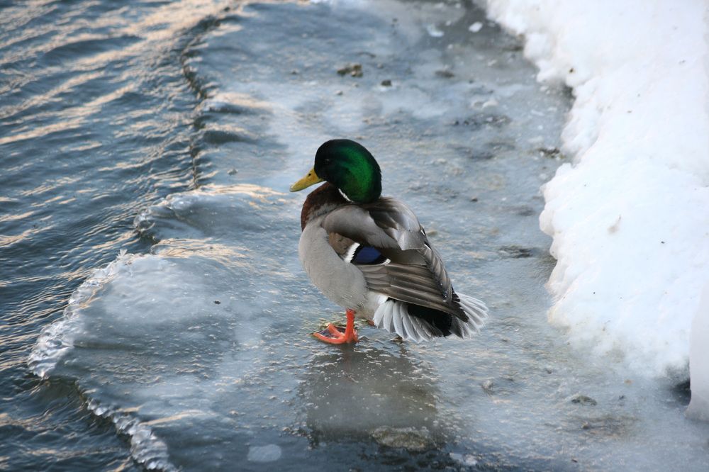 Photograph by Ирина Вассерлауф