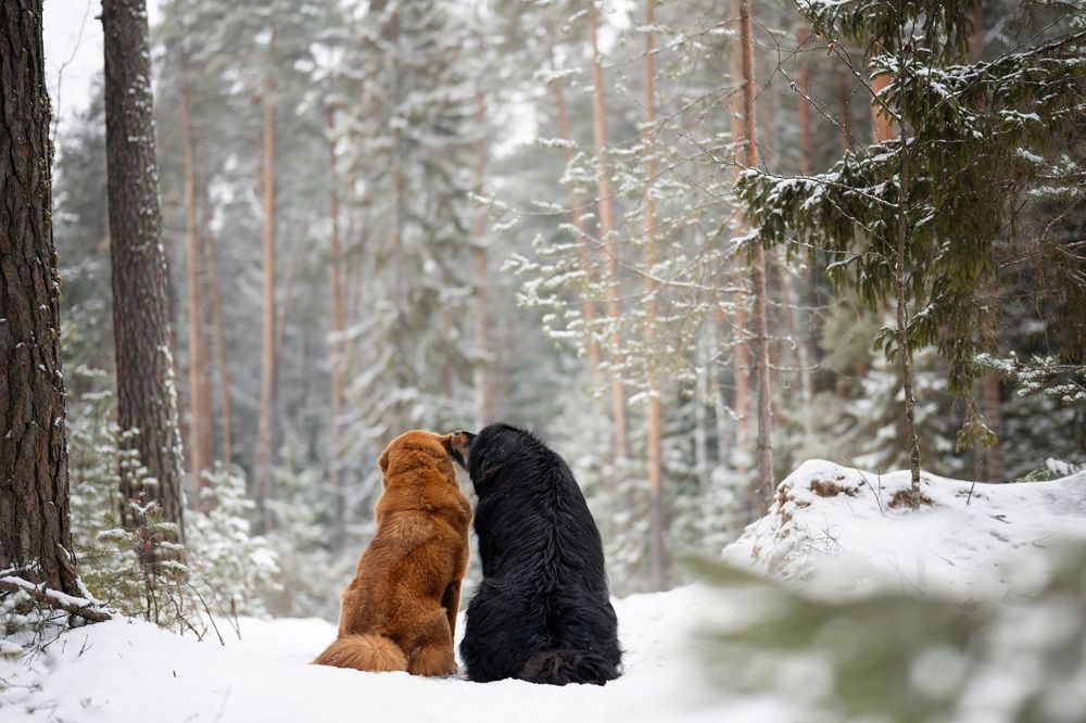 Photograph by Елена Якусева