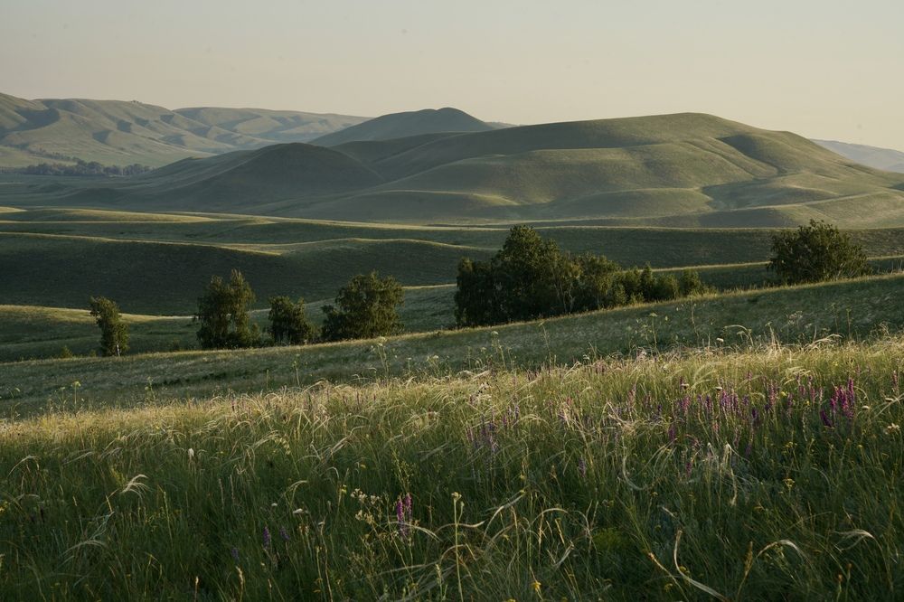 Photograph by Игорь Чебунин