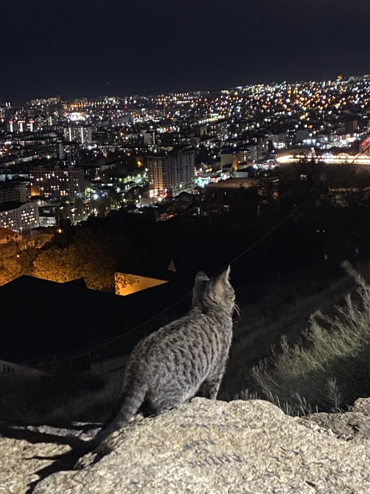 Photograph by Фарида