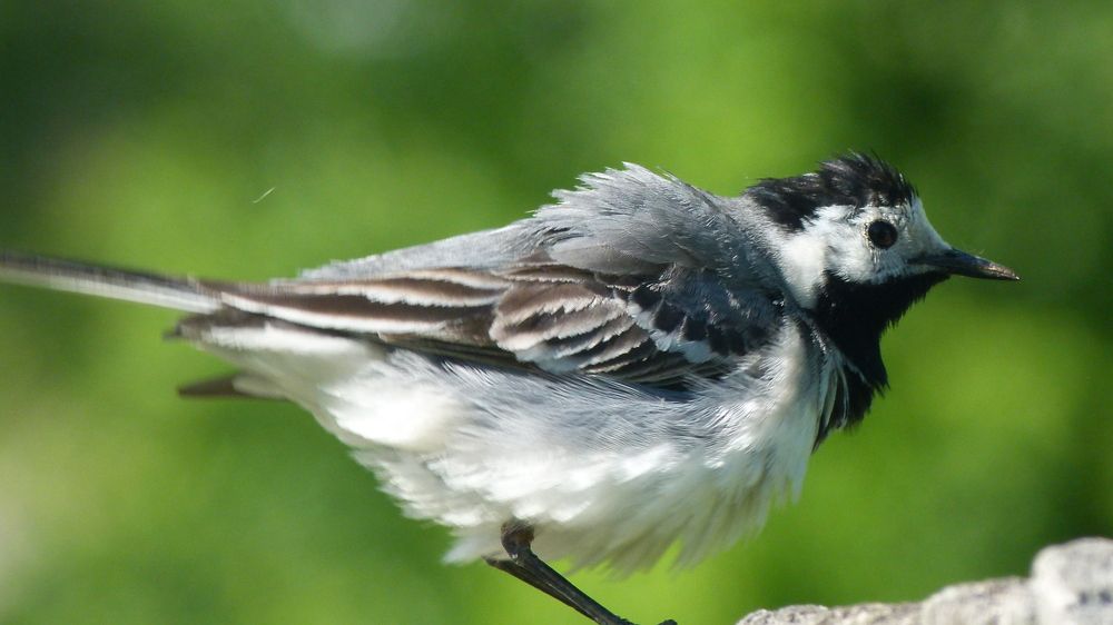 Photograph by Егор Чинарев