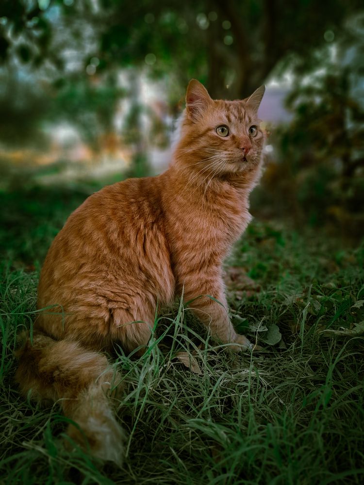 Photograph by Sara Bounab