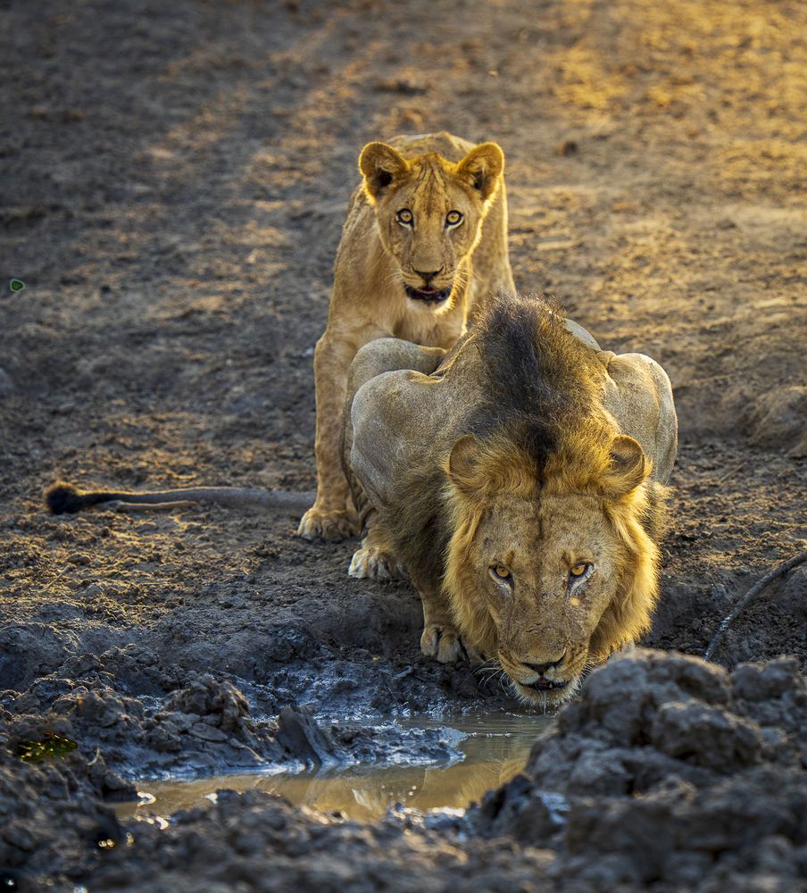 Photograph by Turgay Uzer