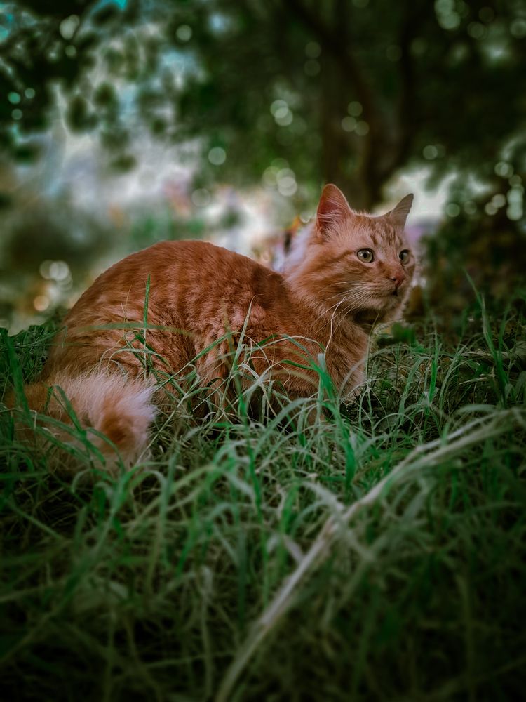 Photograph by Sara Bounab