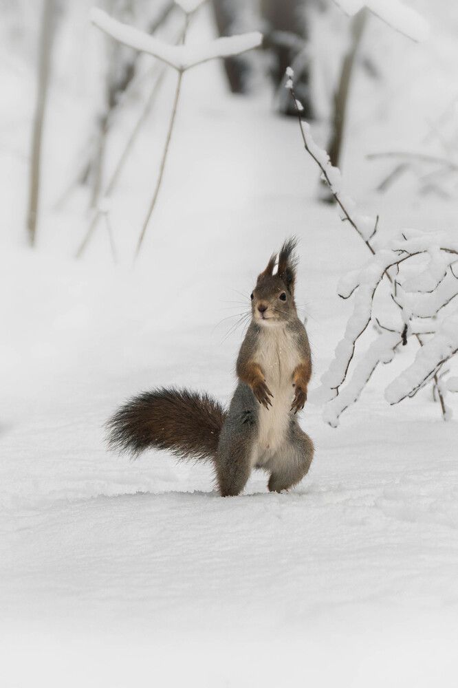 Photograph by Илья Горшенков