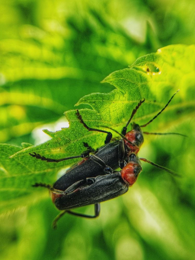 Photograph by Ирина Колдун