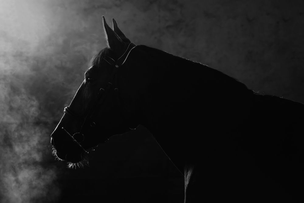 Photograph by Полина Фрольцова