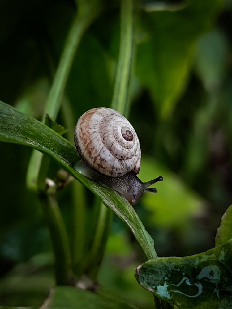 Photograph by Sara Bounab