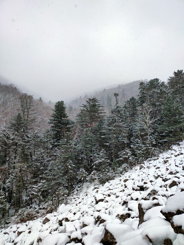 Photograph by Олег Мороз