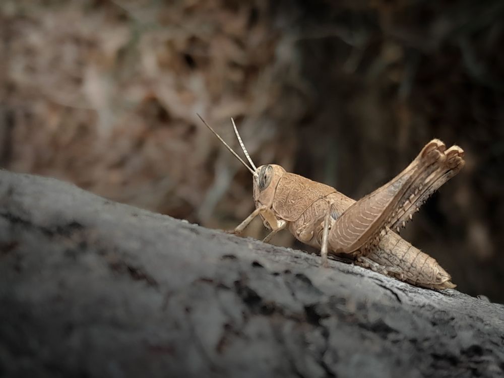 Photograph by Sara Bounab