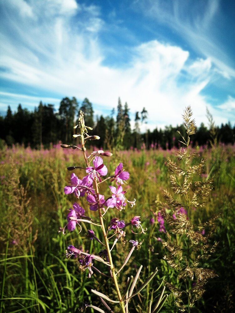 Photograph by Серафима Футлярова