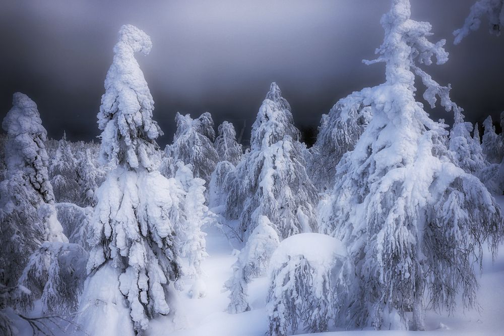 Фотография автора Павел Мартюшев