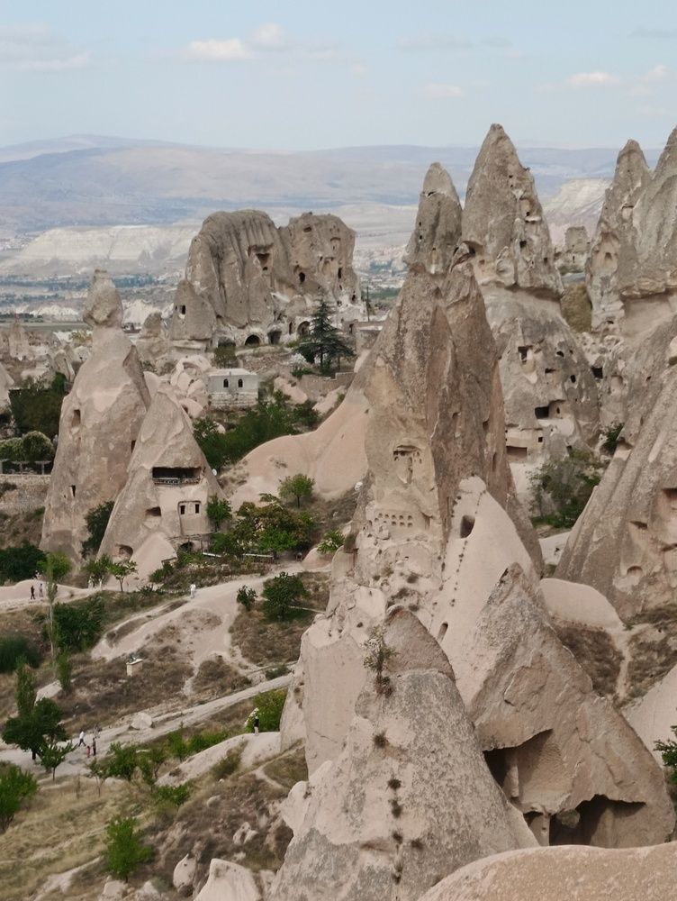 Фотография автора Елена Александрова