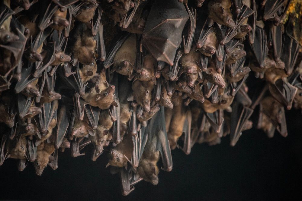 Photograph by Olga Gann