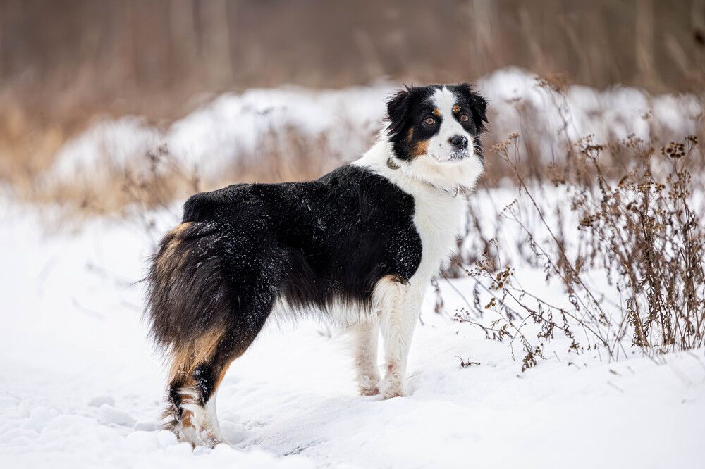 Photograph by Дарья Жукова