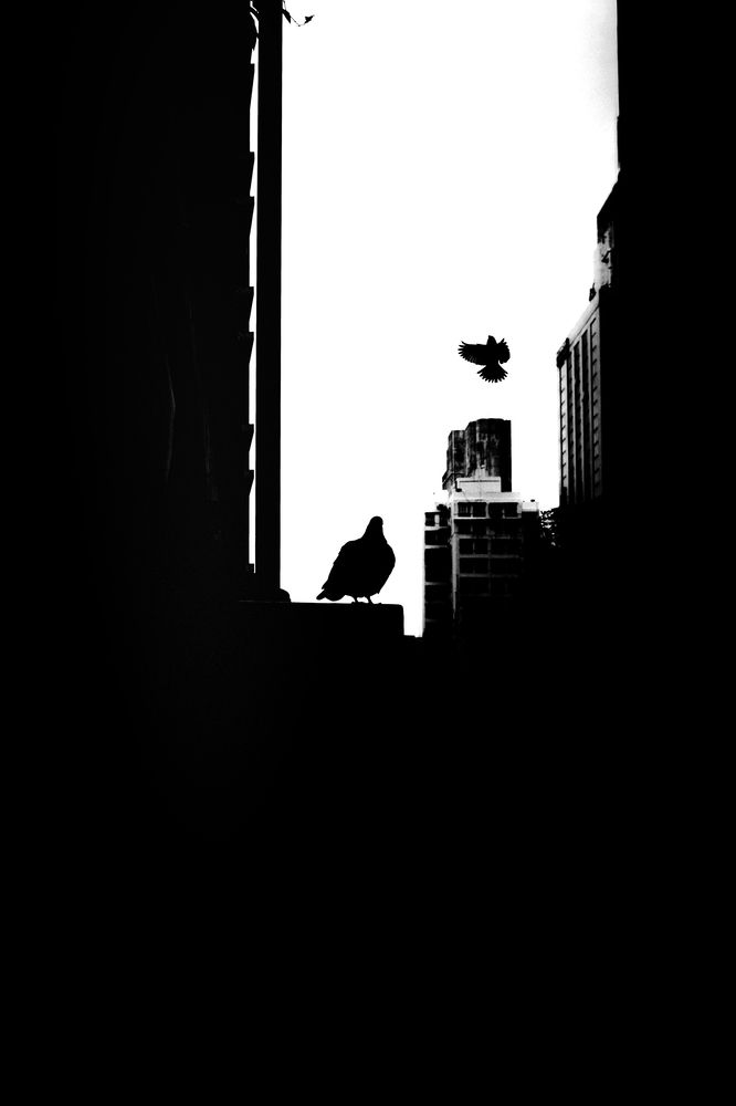 Photograph by wtc1211