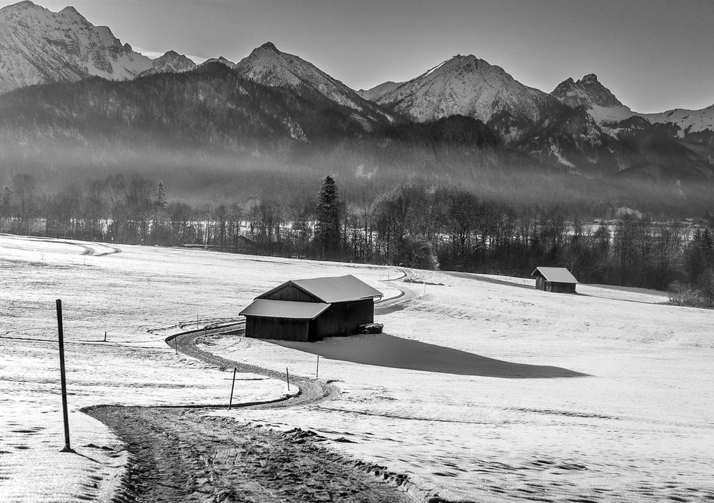 Photograph by Elena Mogilevich