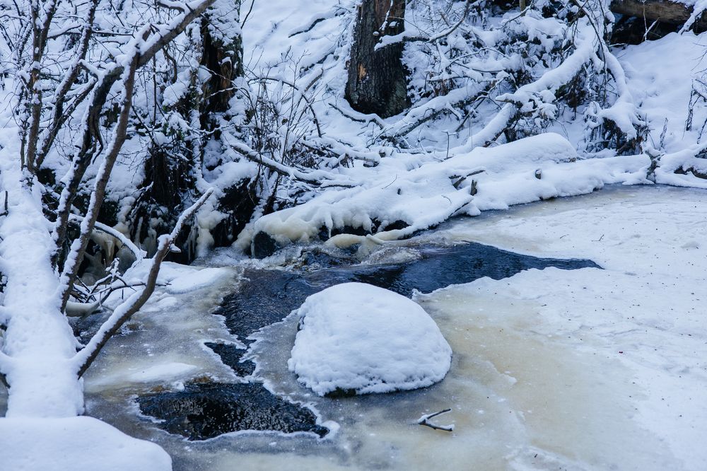 Photograph by Alena Pernu